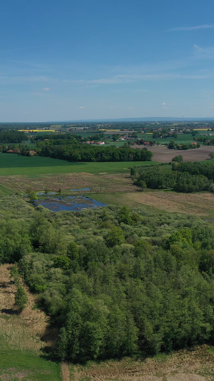 bg_torfmoor